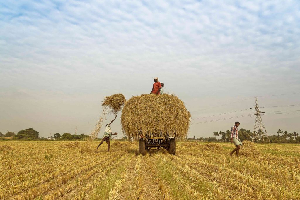 Private Companies in Indian Agriculture